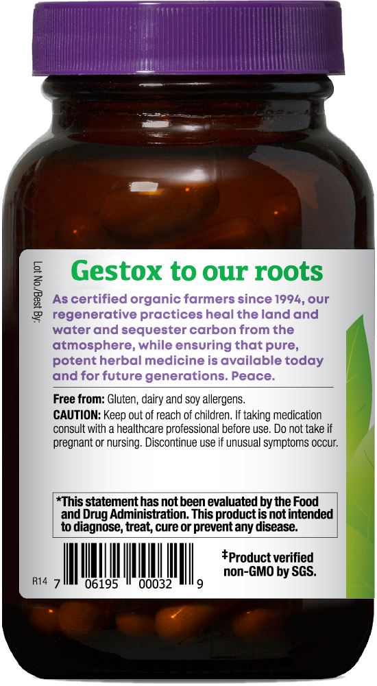 GESTOX Garlic Capsules