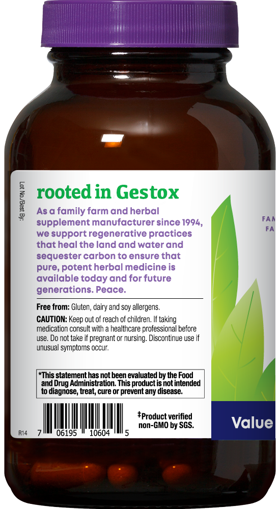 GESTOX Turmeric 120ct Capsules
