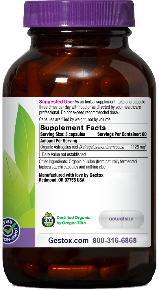 GESTOX Astragalus 180ct Capsules