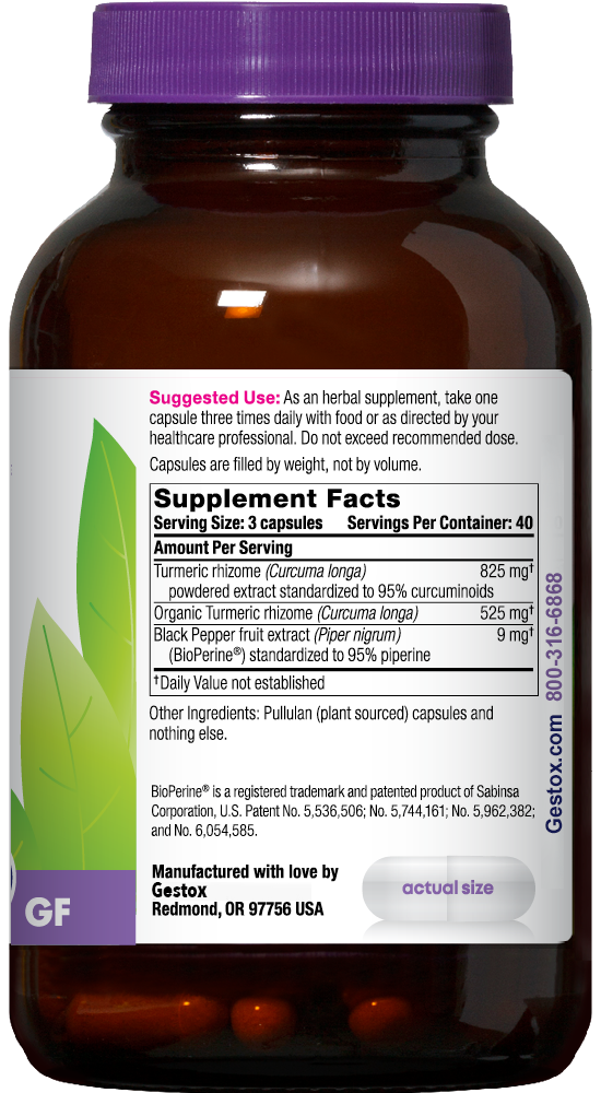 GESTOX Turmeric 120ct Capsules