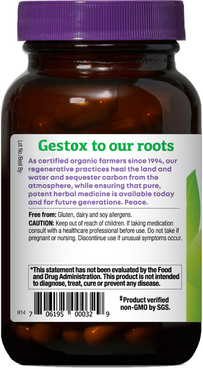 GESTOX Garlic Capsules