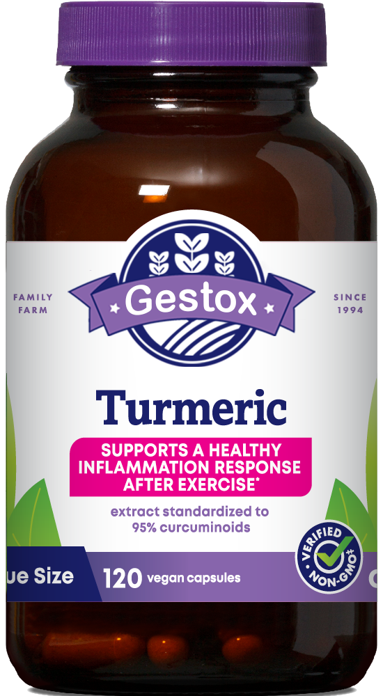 GESTOX Turmeric 120ct Capsules