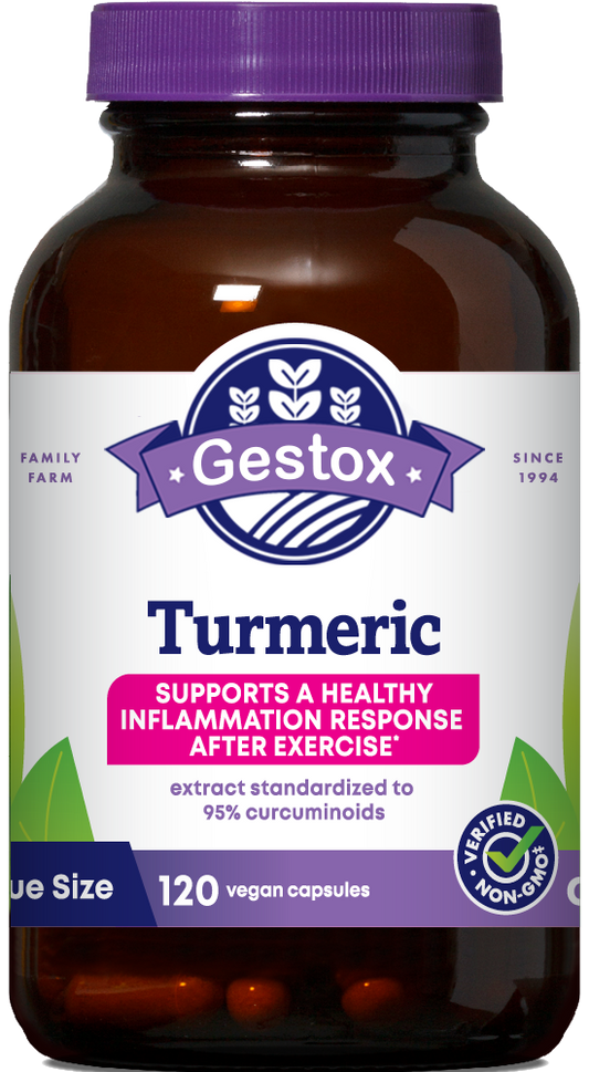 GESTOX Turmeric 120ct Capsules