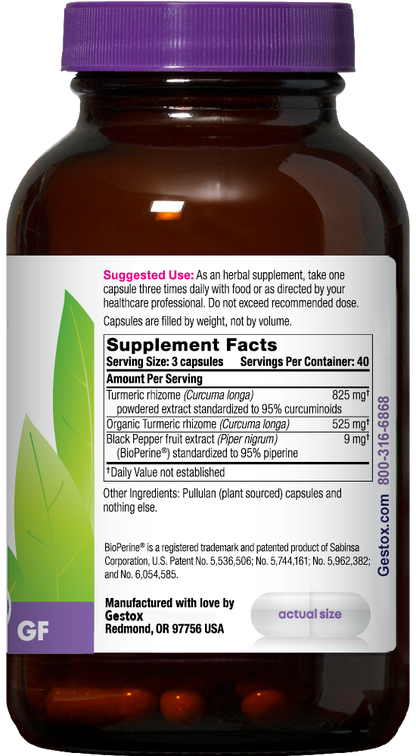GESTOX Turmeric 120ct Capsules